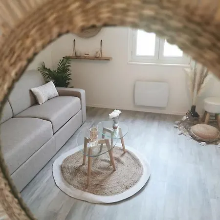 Le Bohemien *studio 30m²*wifi*parking Prive*calme Apartment Lourdes